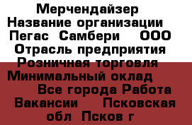 Мерчендайзер › Название организации ­ "Пегас" Самбери-3, ООО › Отрасль предприятия ­ Розничная торговля › Минимальный оклад ­ 23 500 - Все города Работа » Вакансии   . Псковская обл.,Псков г.